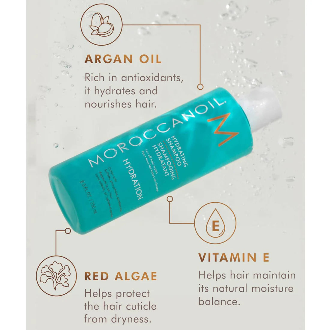 Moroccanoil Hydrating Shampoo 500 ML and Conditioner 500ml